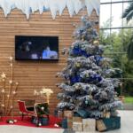 Découvrez notre arbre de Noël implantée au sein de notre hall