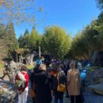 l'entreprise PURE à fini sa journée par une visite du parc