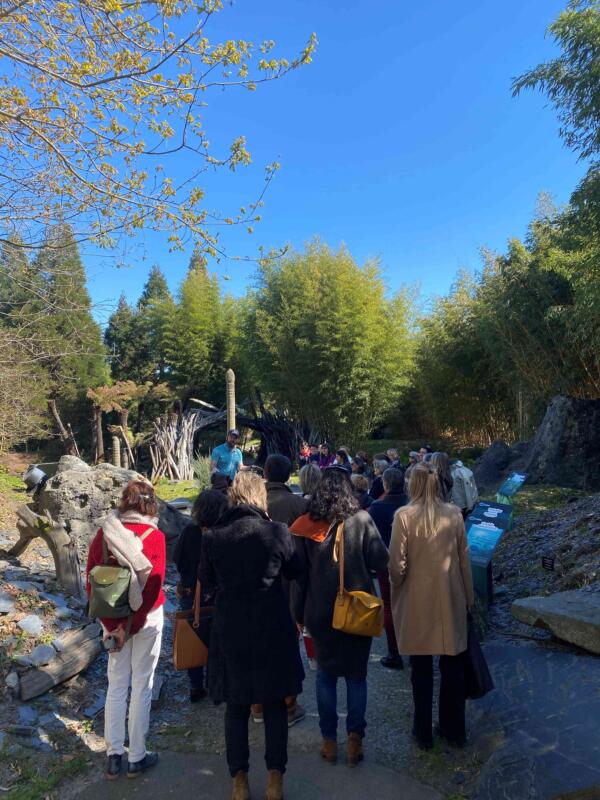 l'entreprise PURE à fini sa journée par une visite du parc