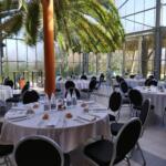 Découvrez le hall sous format restauration avec nos palmiers