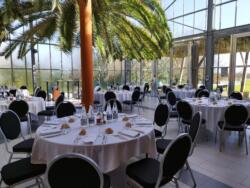 Découvrez le hall sous format restauration avec nos palmiers