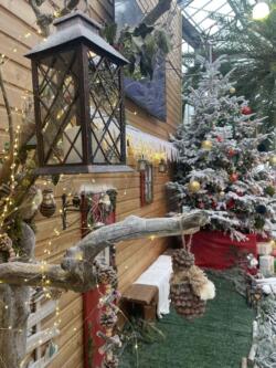 Arbre de Noël disposé au sein de notre hall
