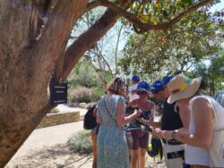 La nouvelle chasse : La Chasse aux Mille Écus