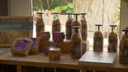Assortiment de produits au sein de la boutique